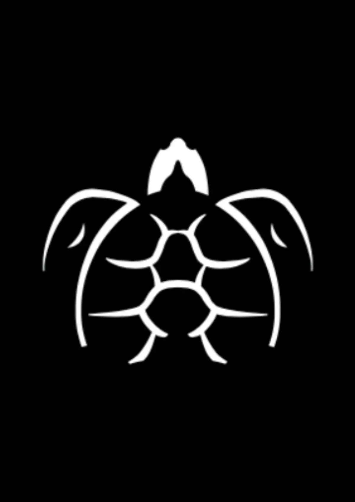 Descriptive text for the image