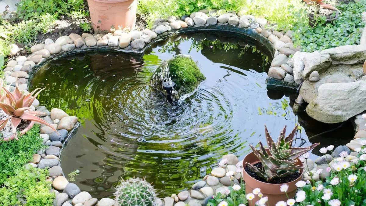Wildlife-friendly garden pond with plants in Attleborough