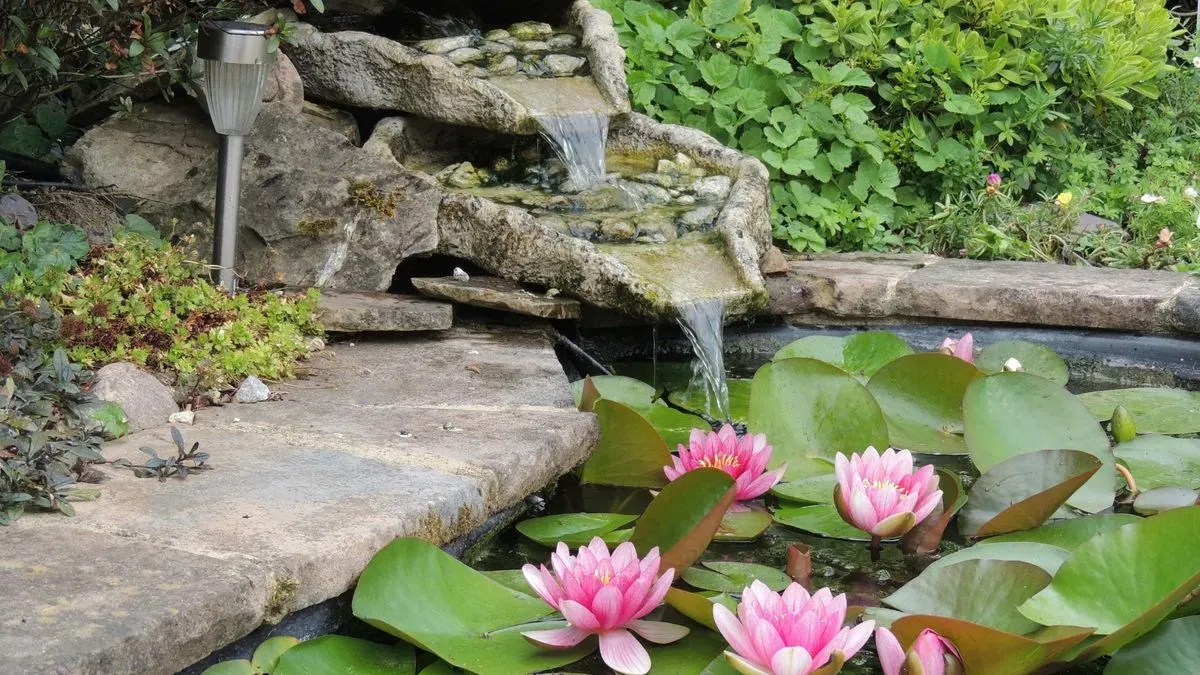 Scenic garden pond installation process in Attleborough
