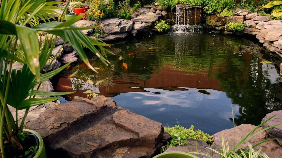 Completed garden pond surrounded by lush greenery in Attleborough