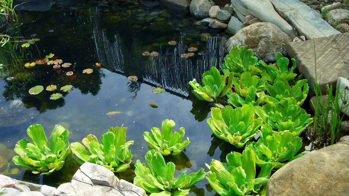 Water feature installation enhancing garden aesthetics in Attleborough