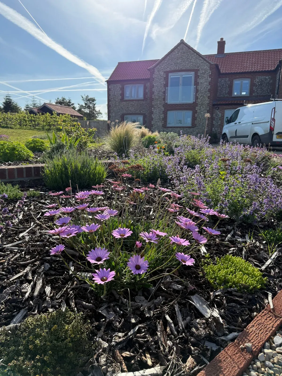 Beautiful flower beds designed by Hilton and Green Landscaping