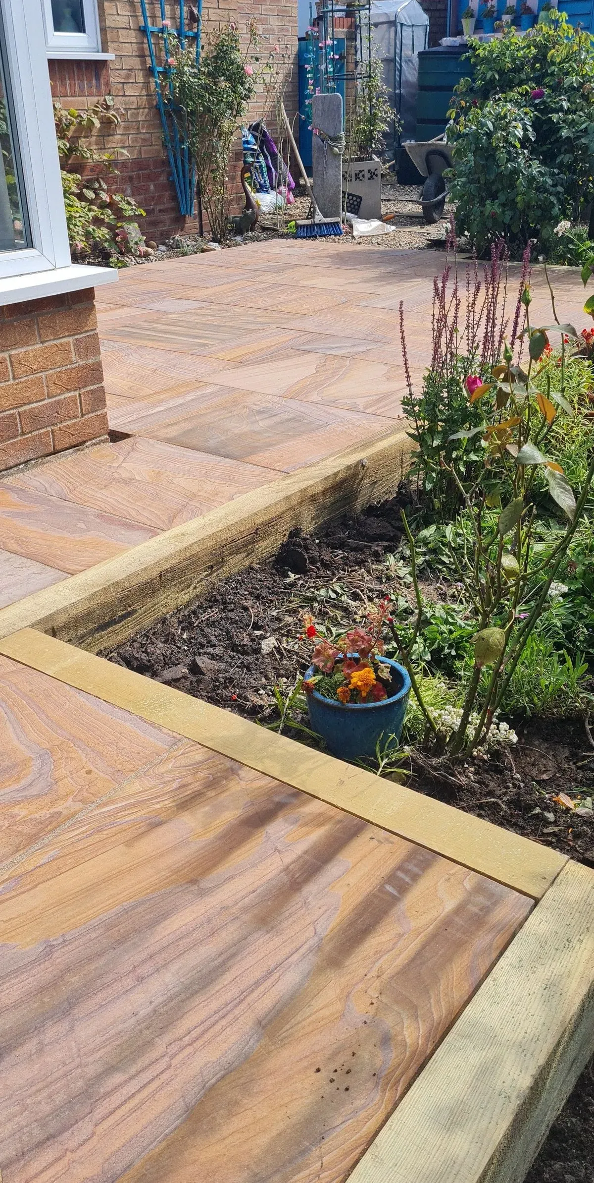 Close-up of colourful flowers planted in Attleborough