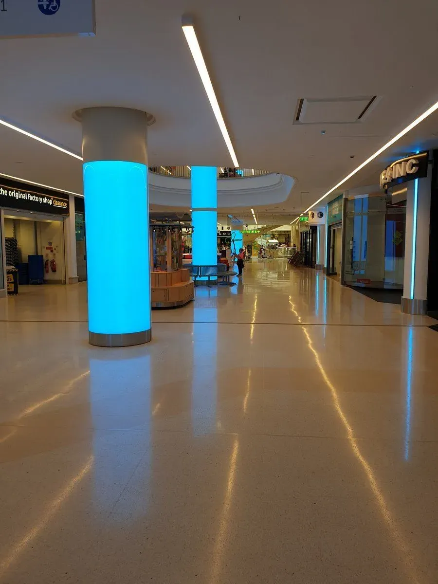 Descriptive text for the image