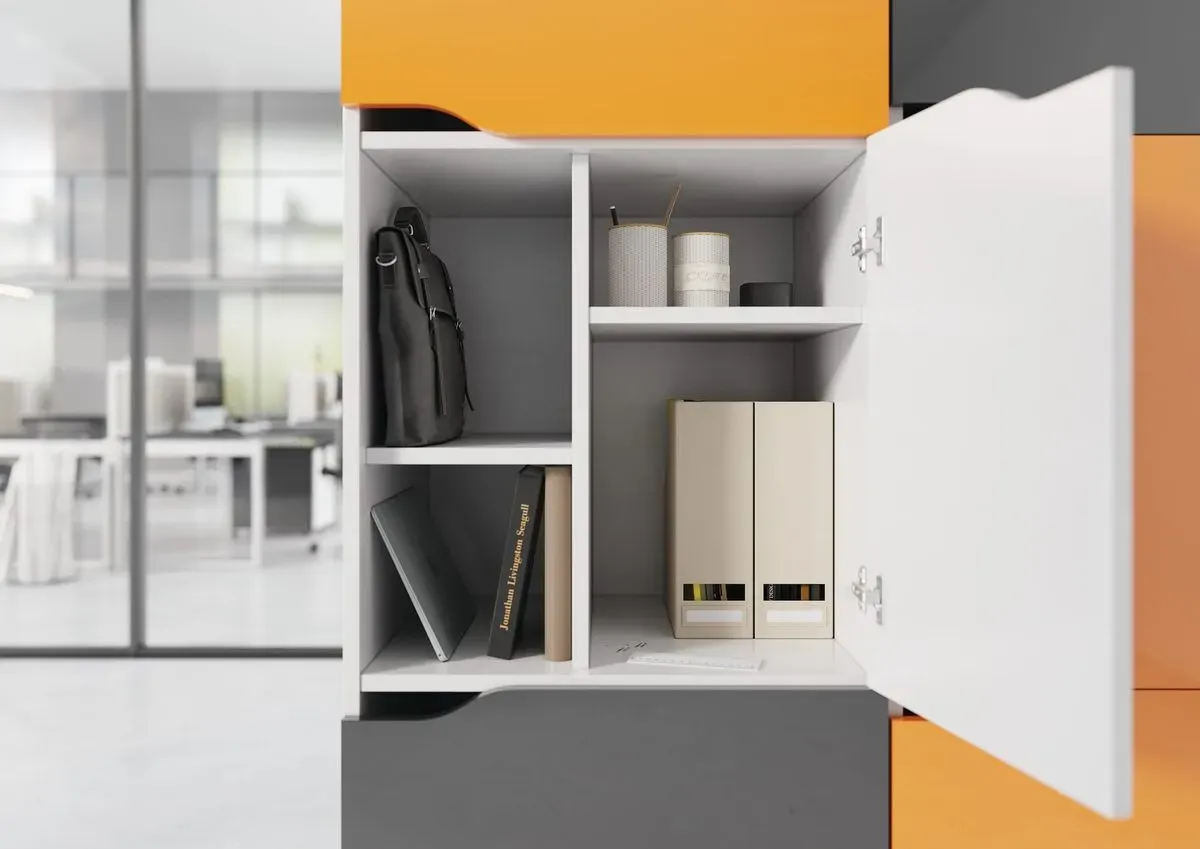 Descriptive text for the image