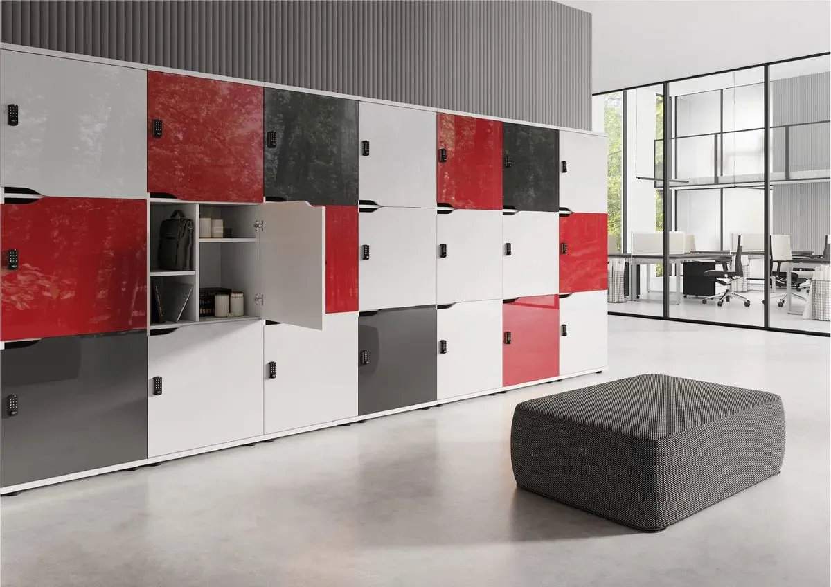 Descriptive text for the image