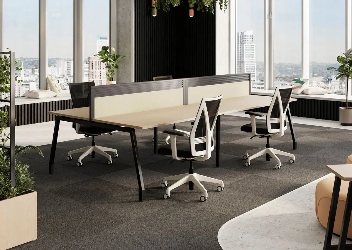 Descriptive text for the image