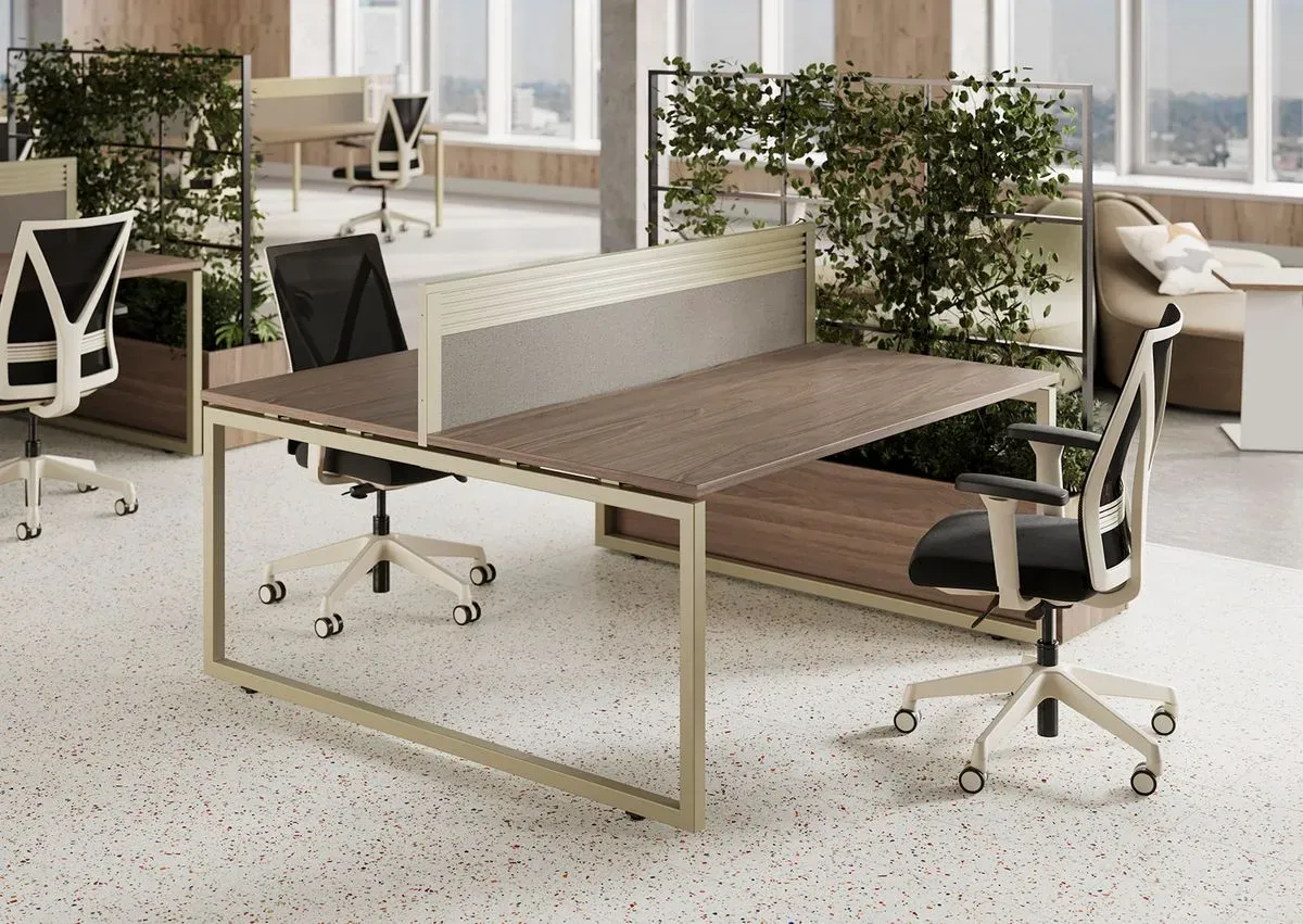 Descriptive text for the image