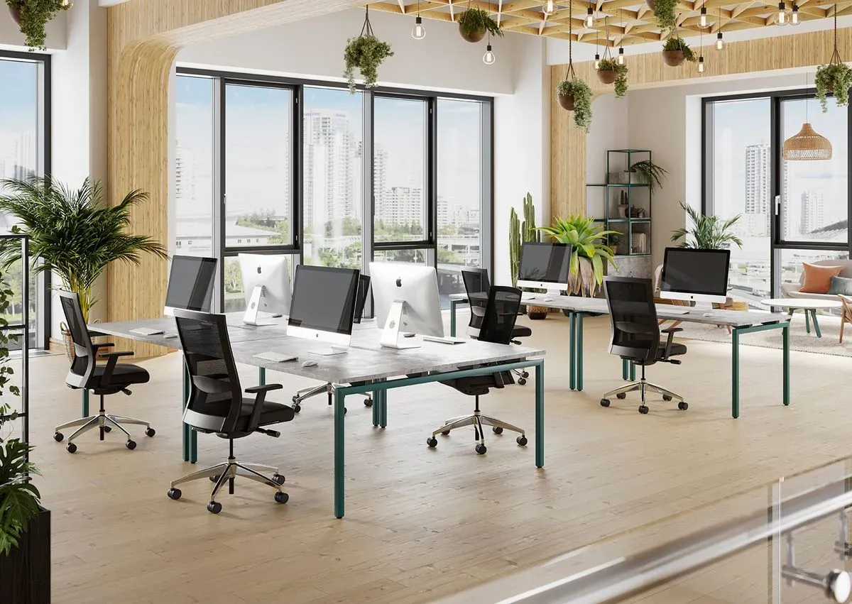 Descriptive text for the image