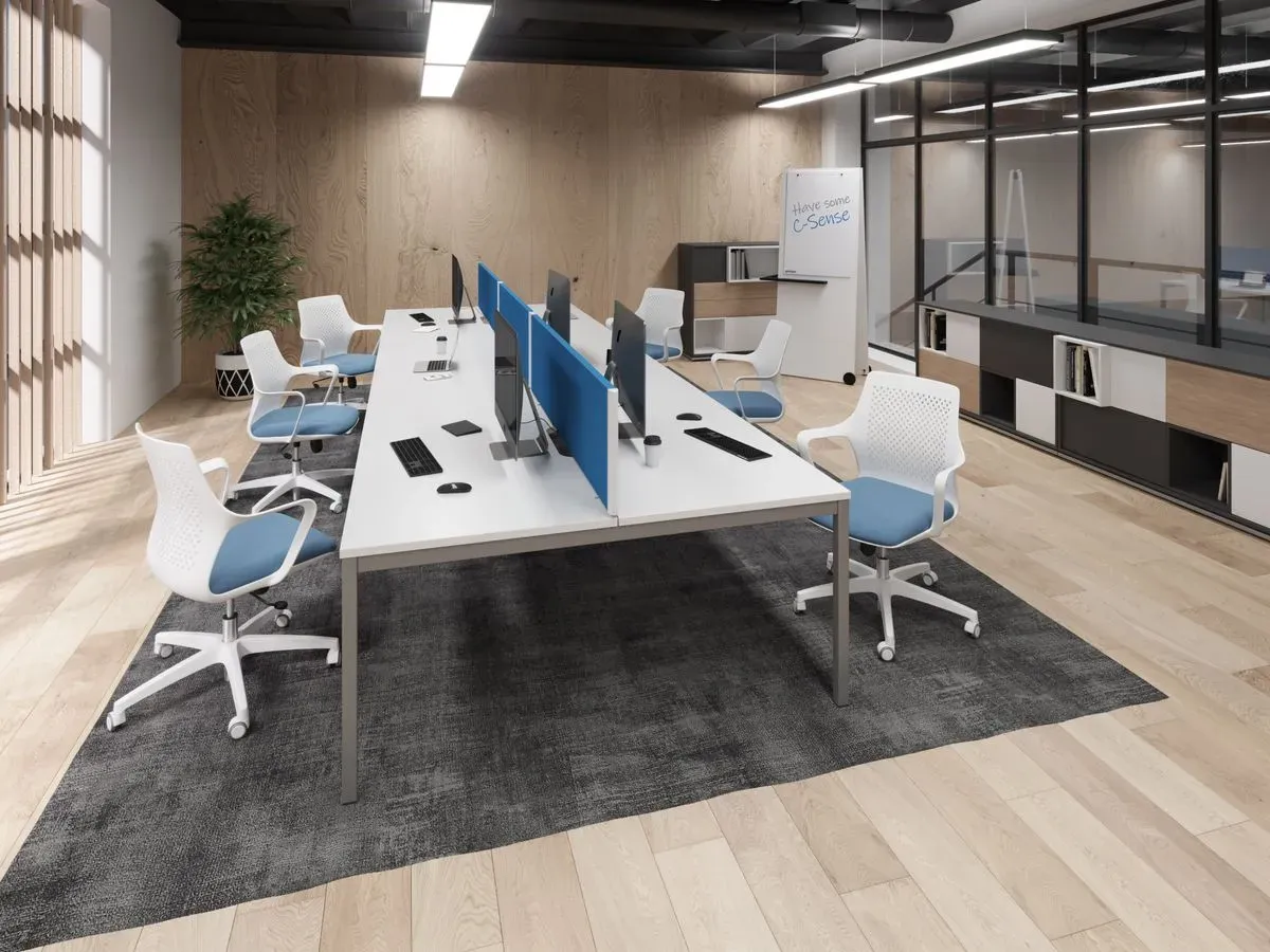 Descriptive text for the image