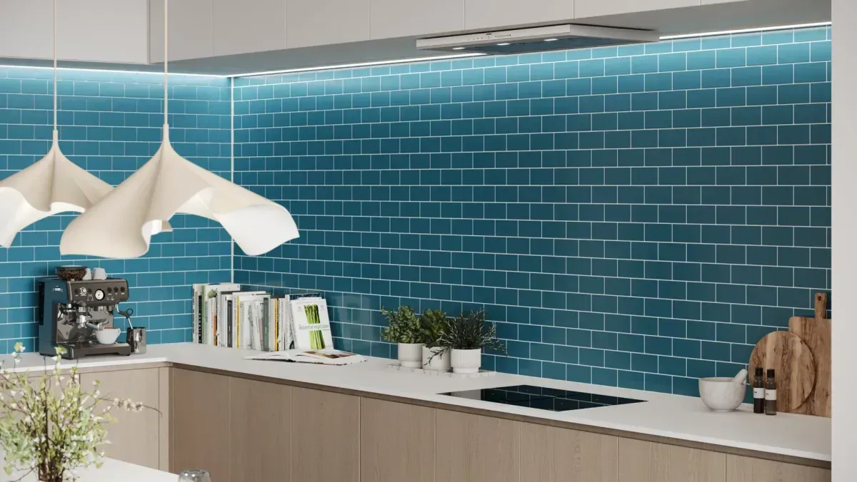 Descriptive text for the image