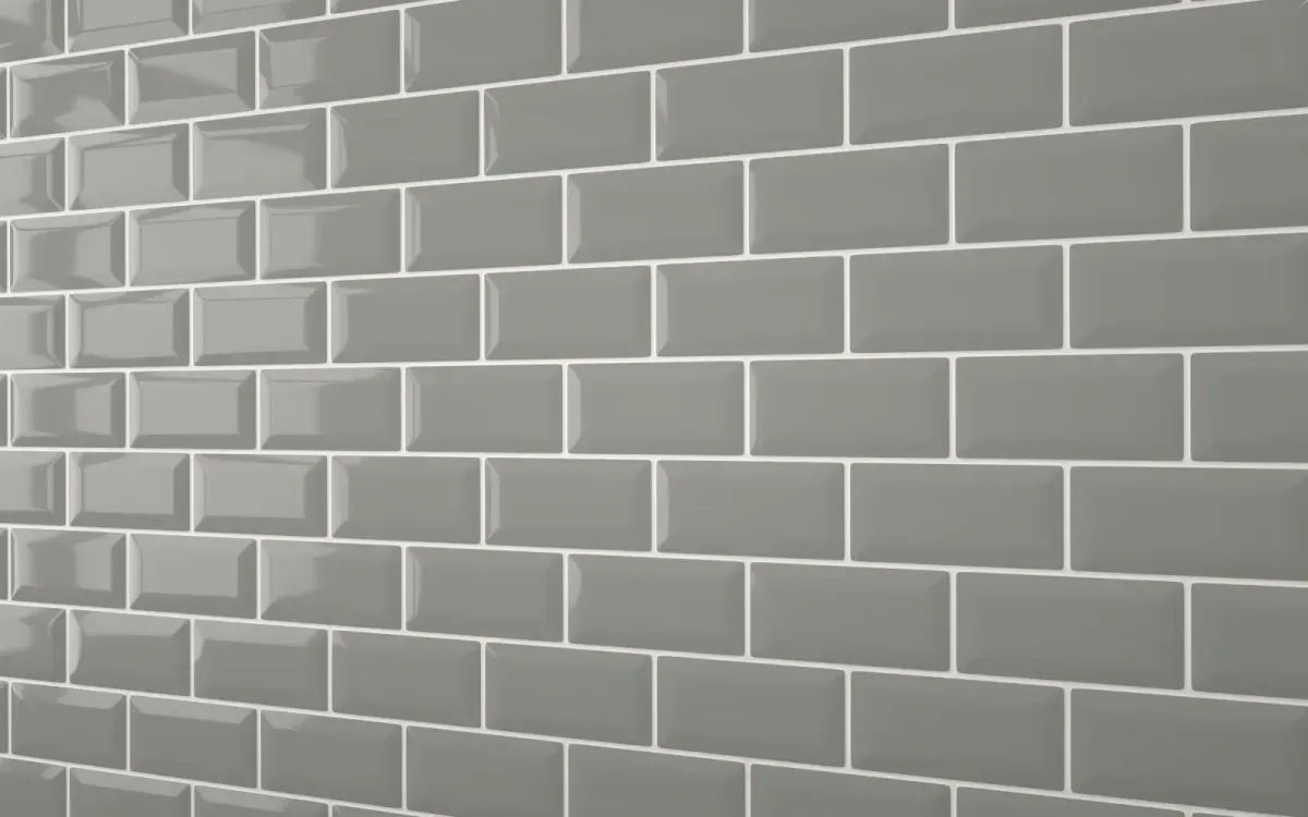 Descriptive text for the image