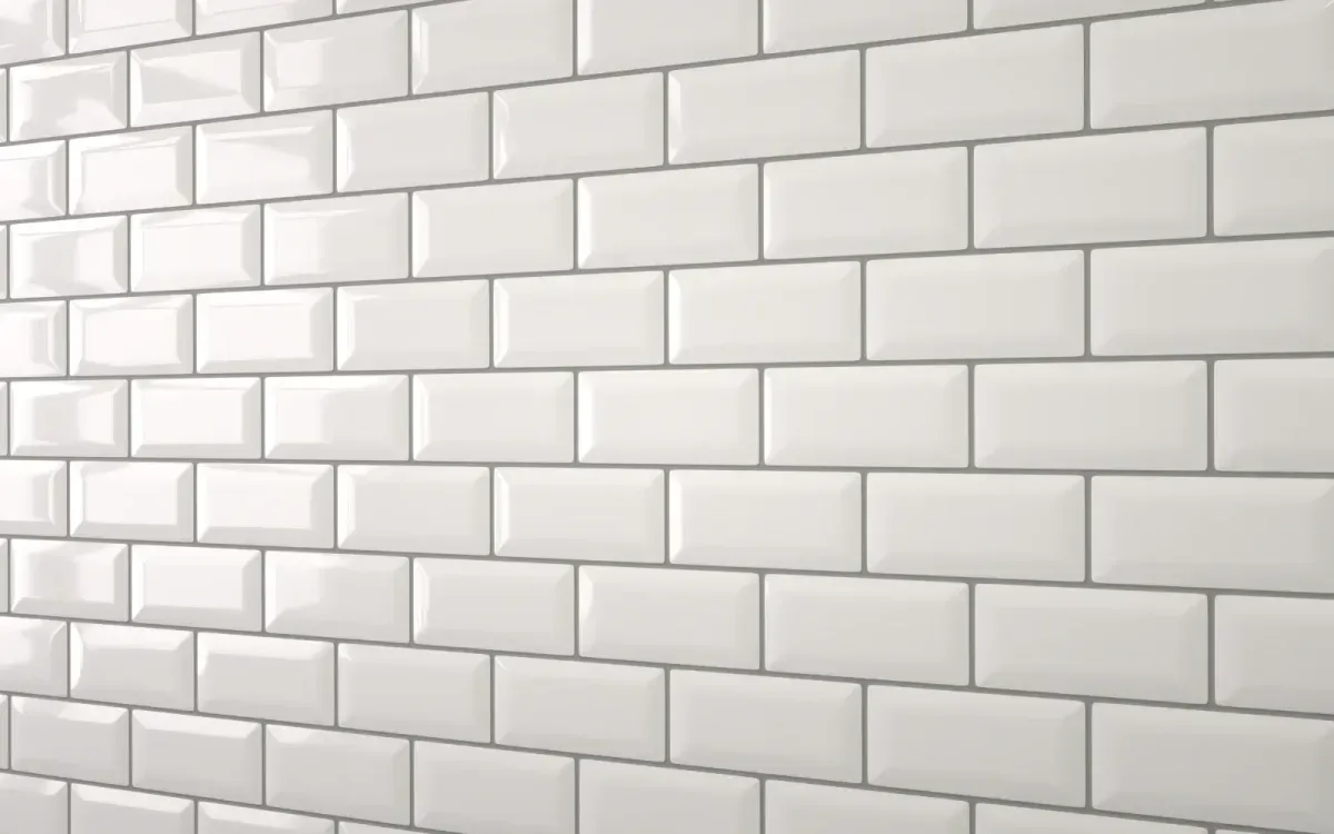 Descriptive text for the image