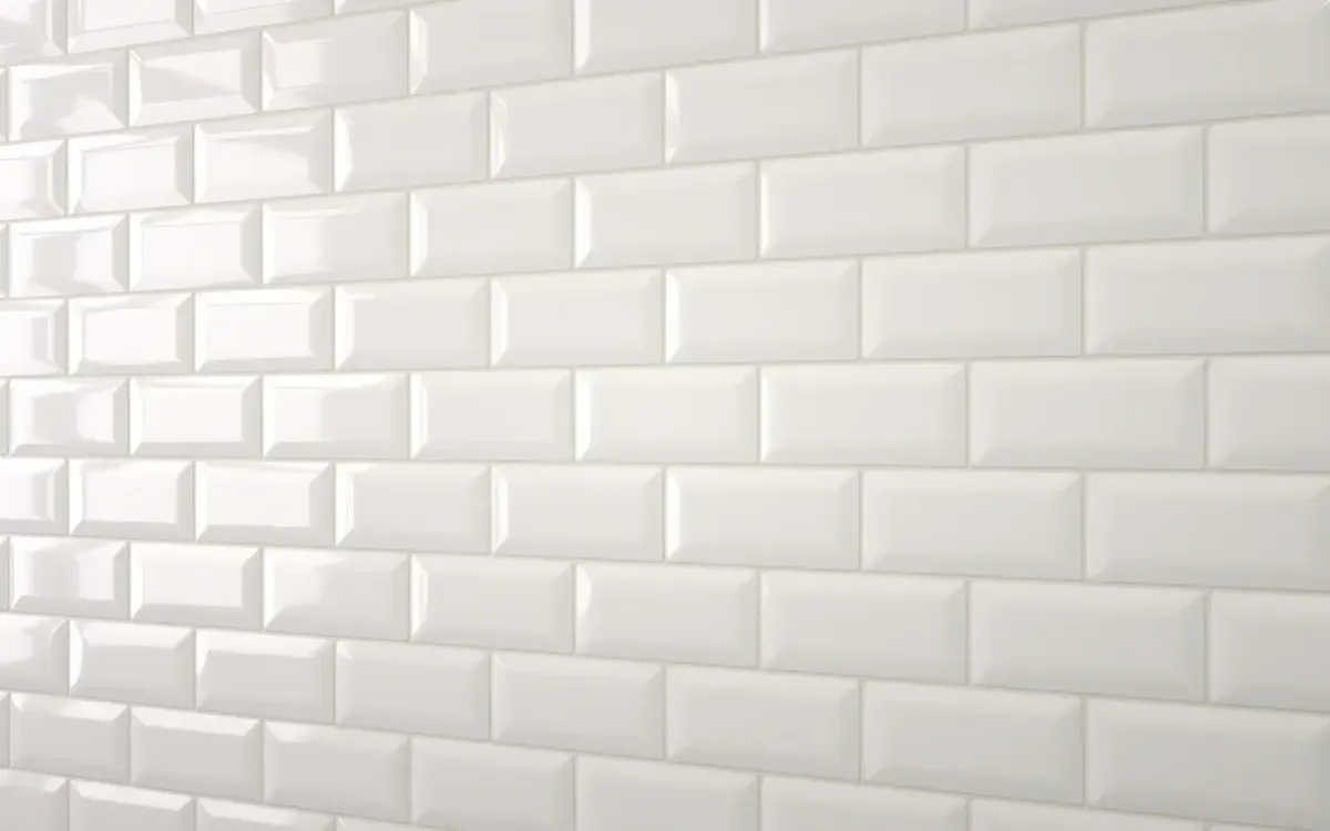 Descriptive text for the image