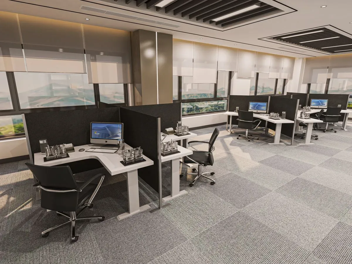 Descriptive text for the image