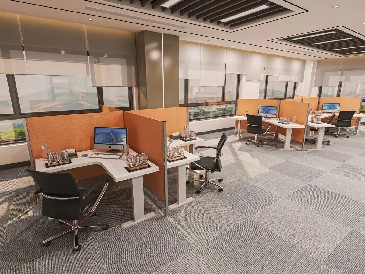 Descriptive text for the image