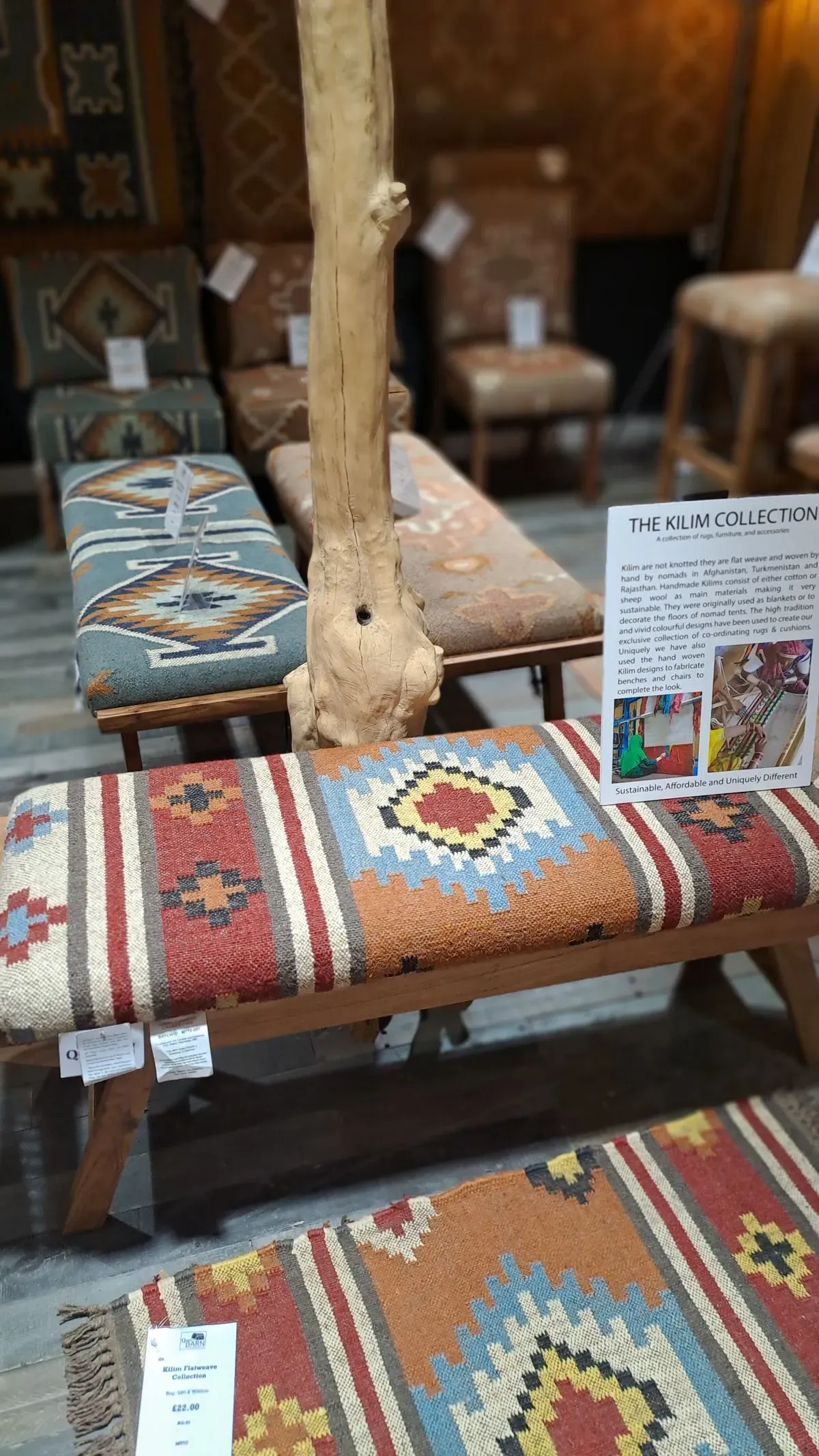 Descriptive text for the image