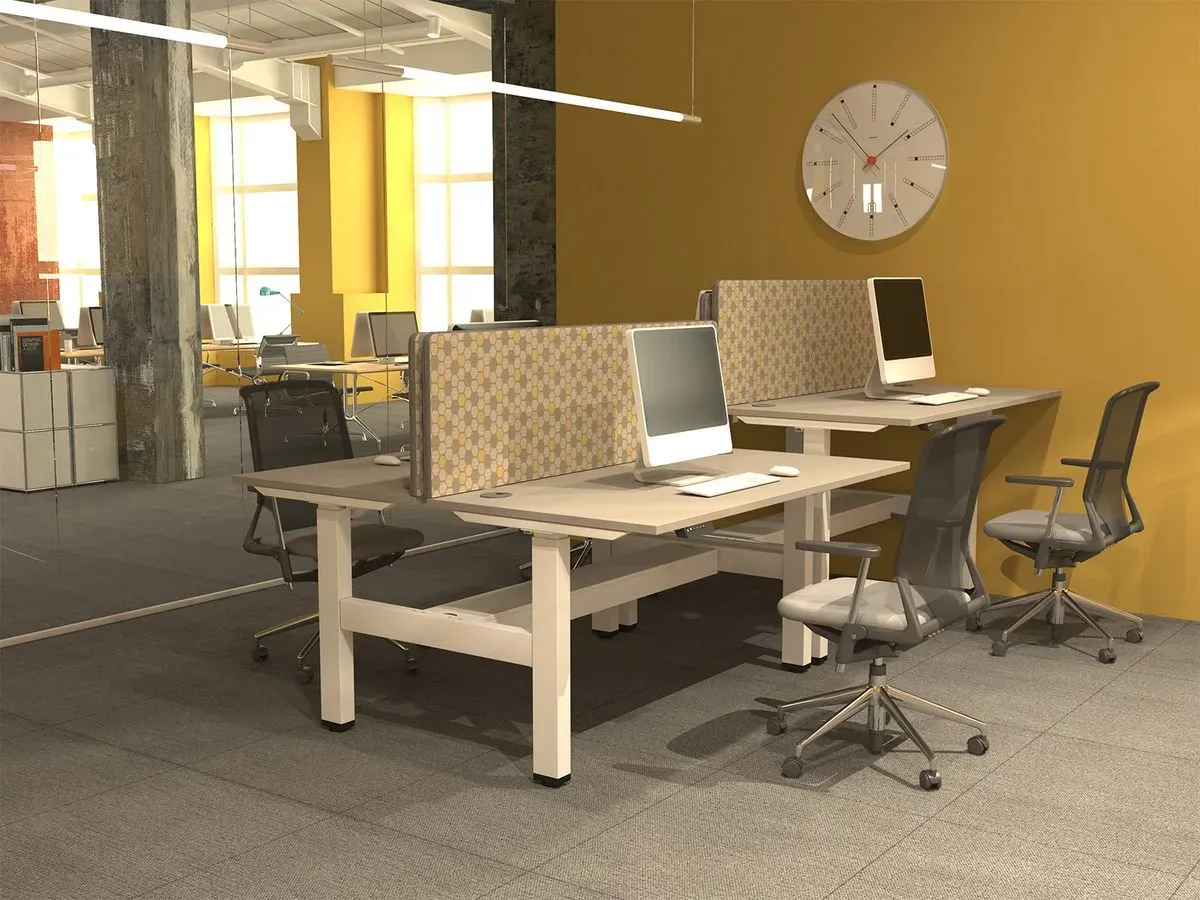 Descriptive text for the image