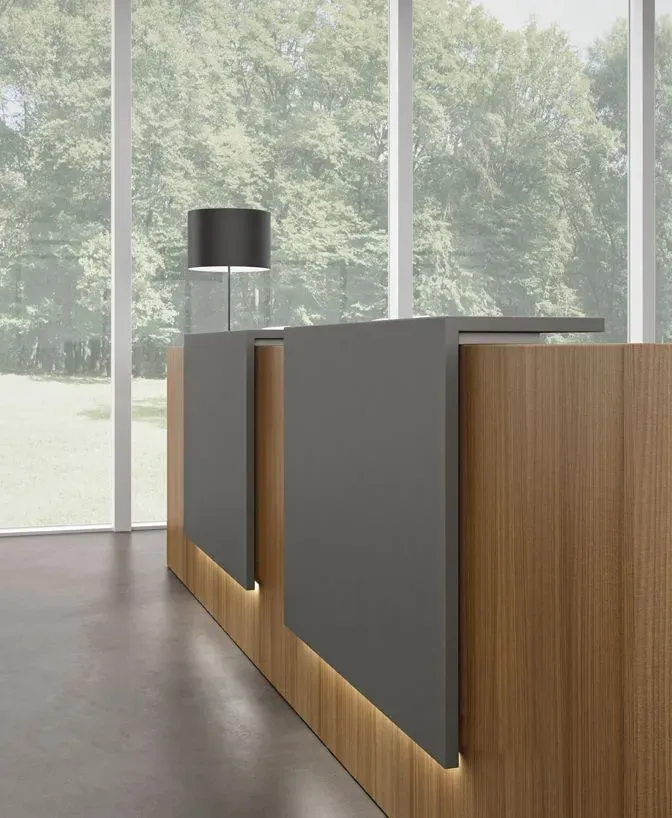 Descriptive text for the image