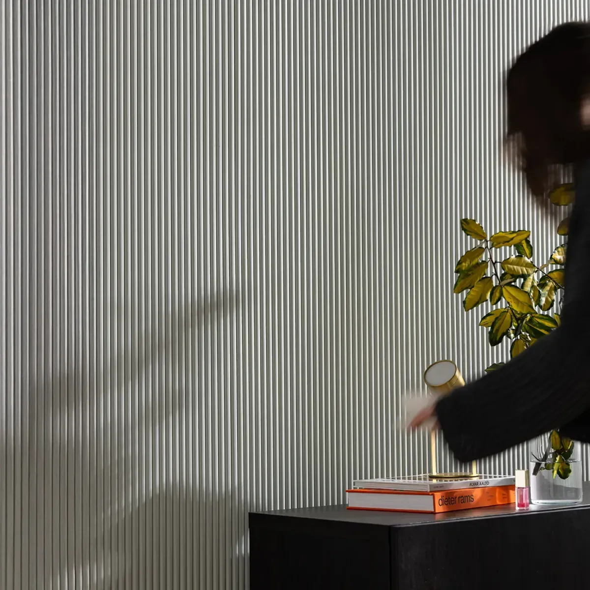 Descriptive text for the image