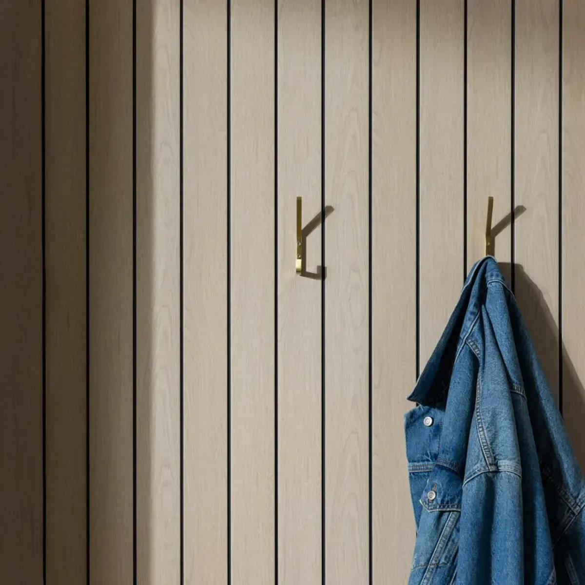 Descriptive text for the image