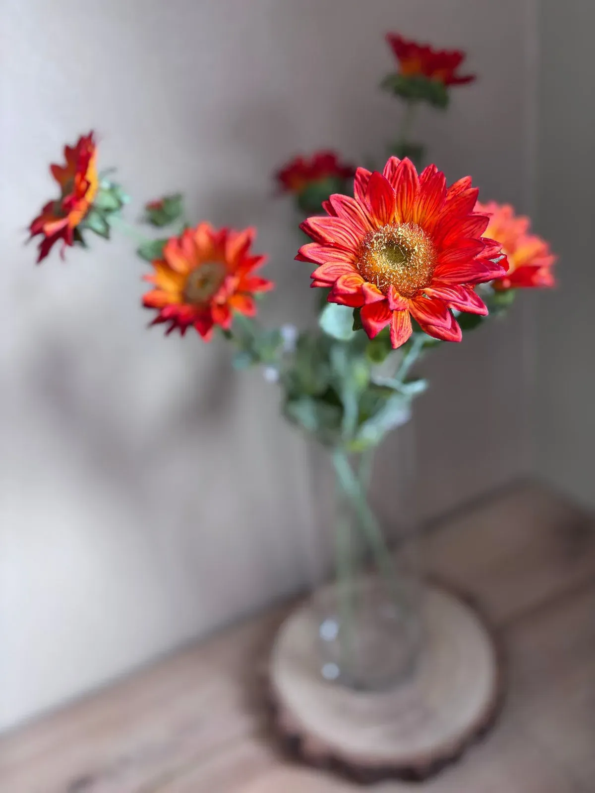 8223966257543-zc2cnj6wp2n2achnf4op9i-IMG-4667 collection background image