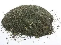 mint and nettle 001 thumbnail image