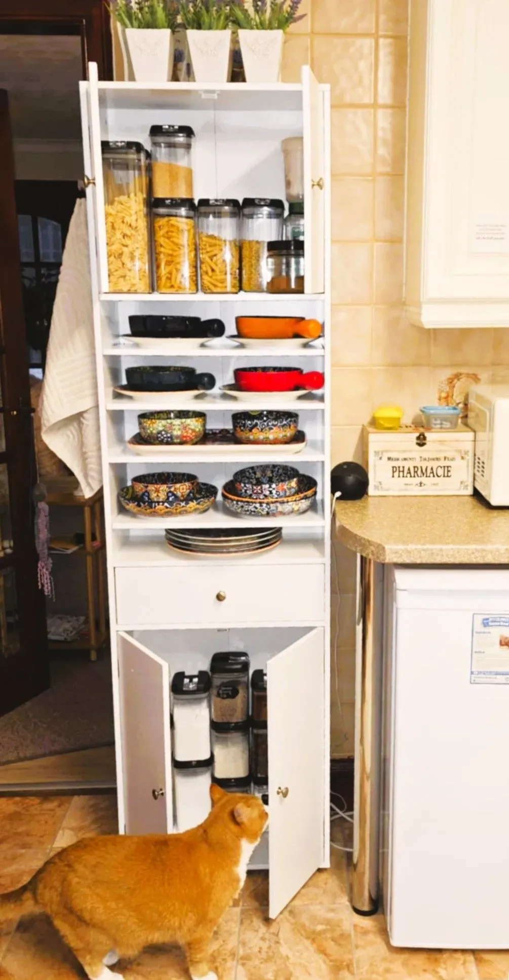 Descriptive text for the image