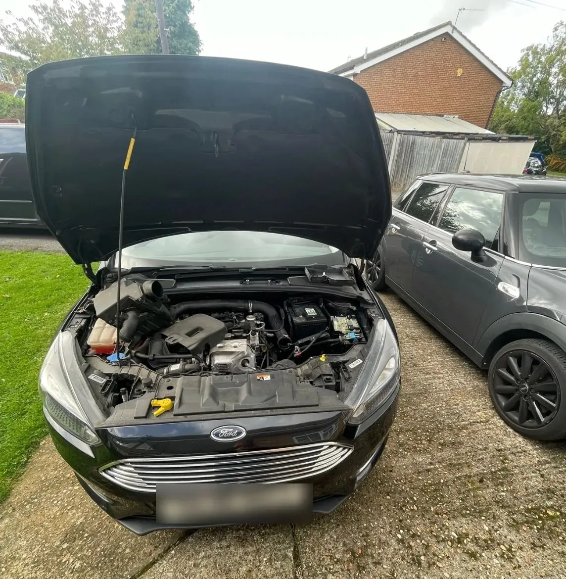 Descriptive text for the image