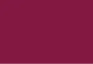Descriptive text for the image