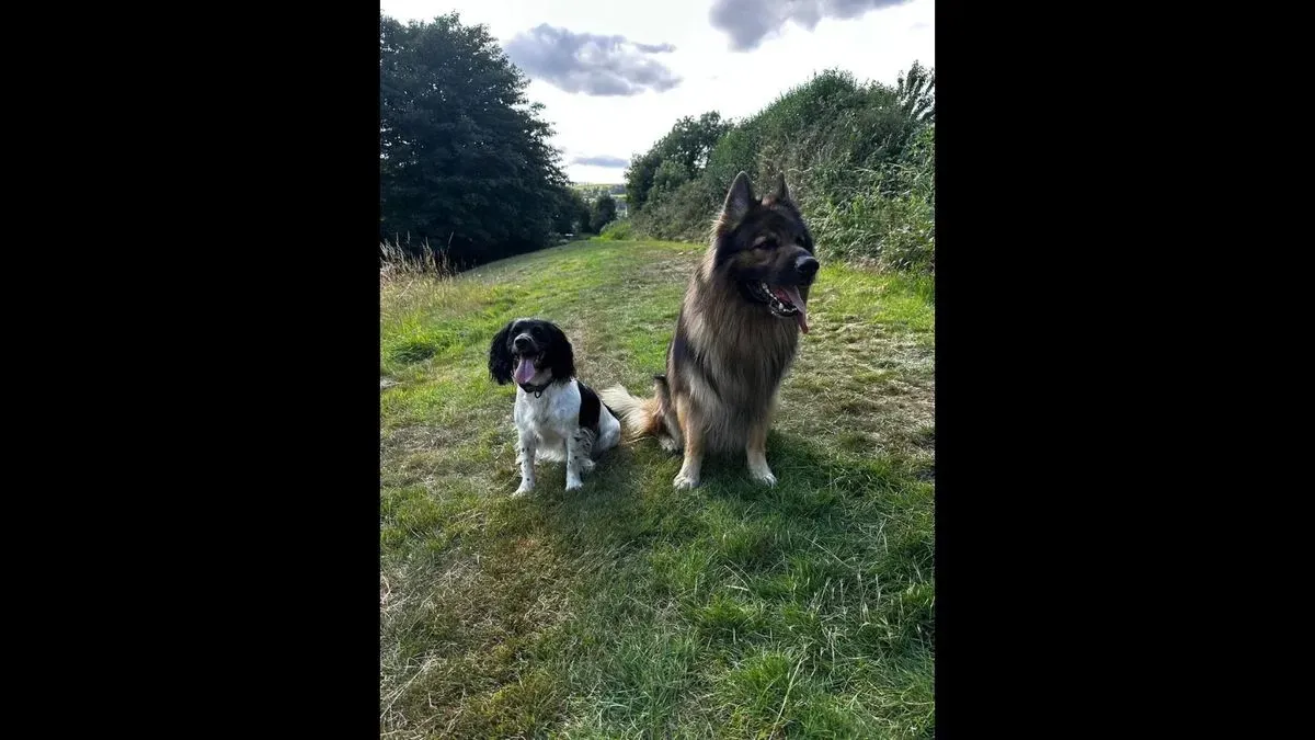 Descriptive text for the image