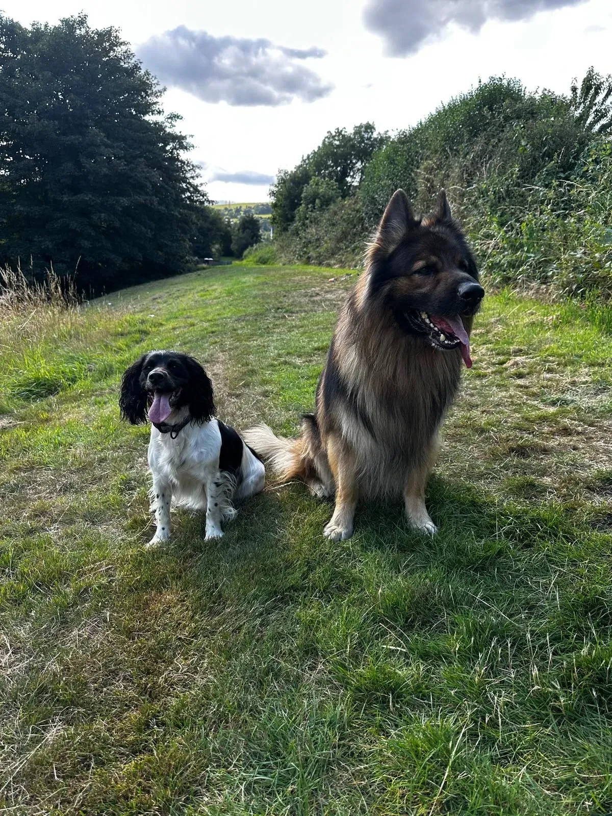 Descriptive text for the image