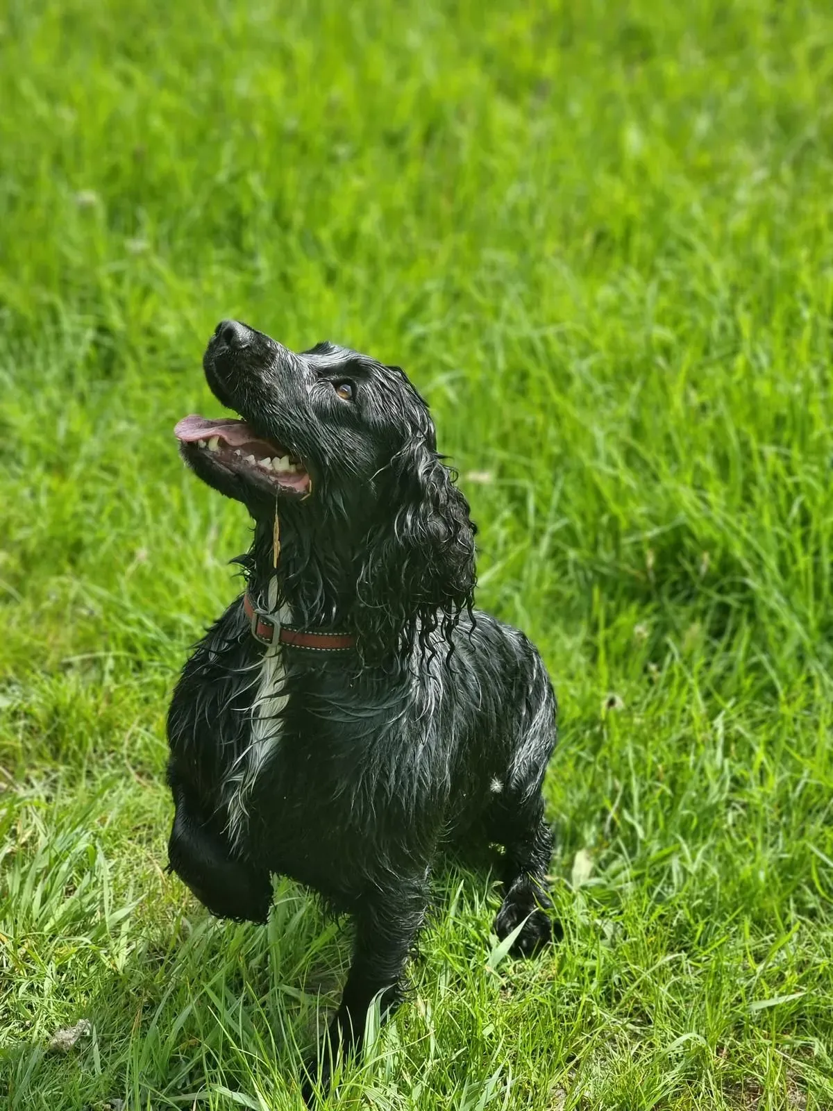 Descriptive text for the image