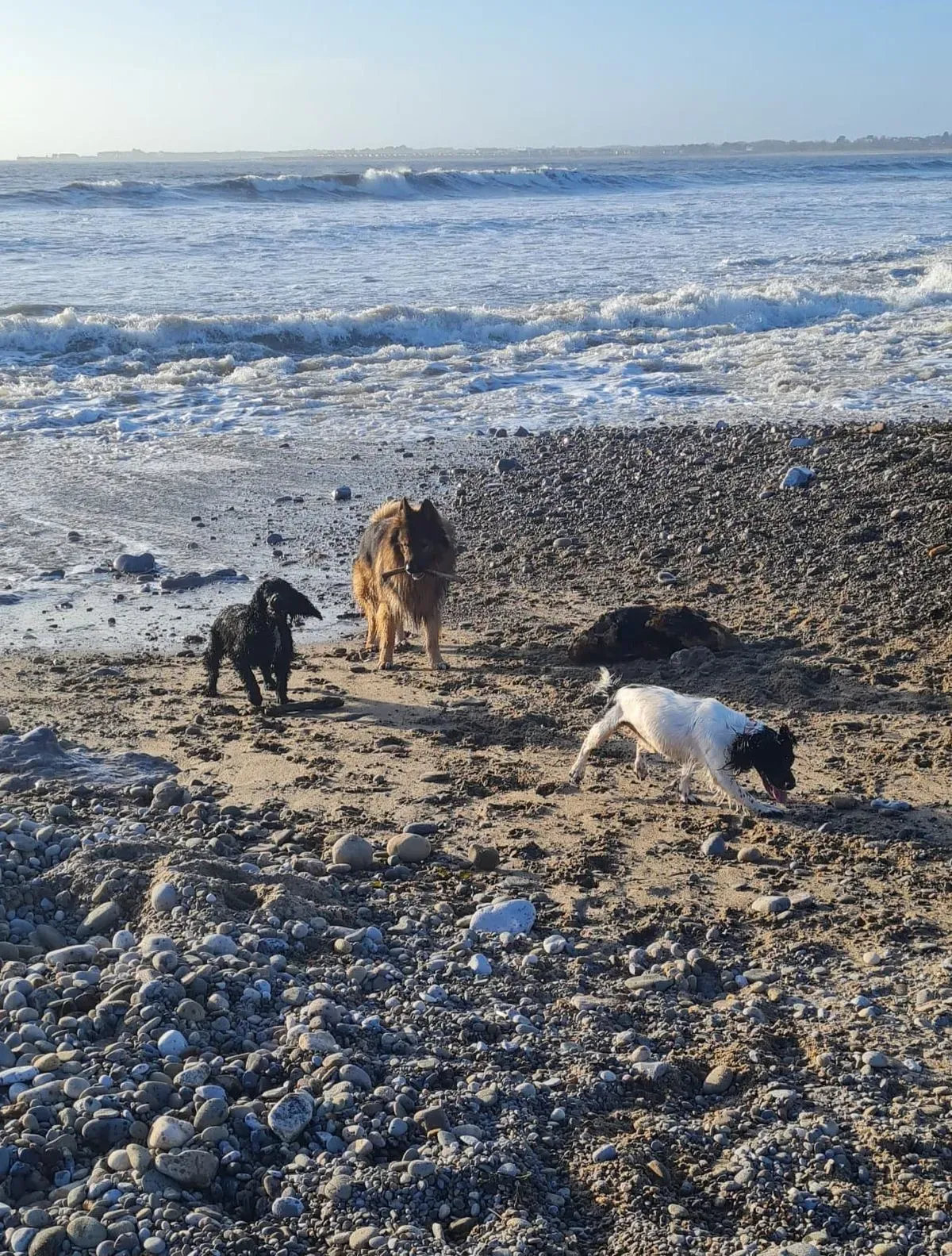 Descriptive text for the image