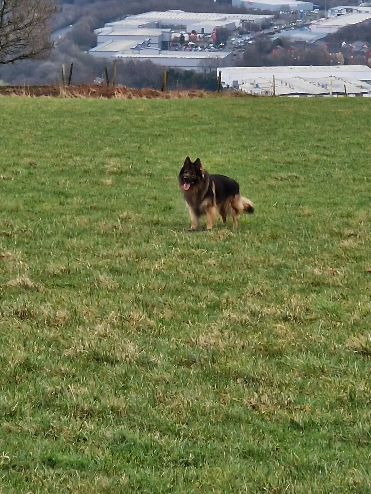 Descriptive text for the image