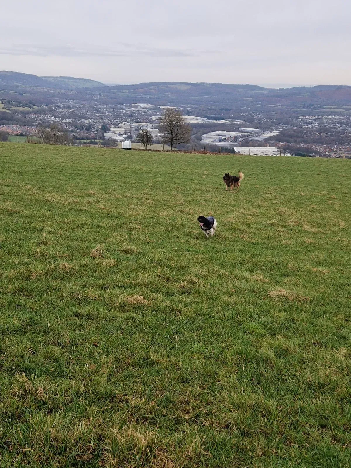 Descriptive text for the image