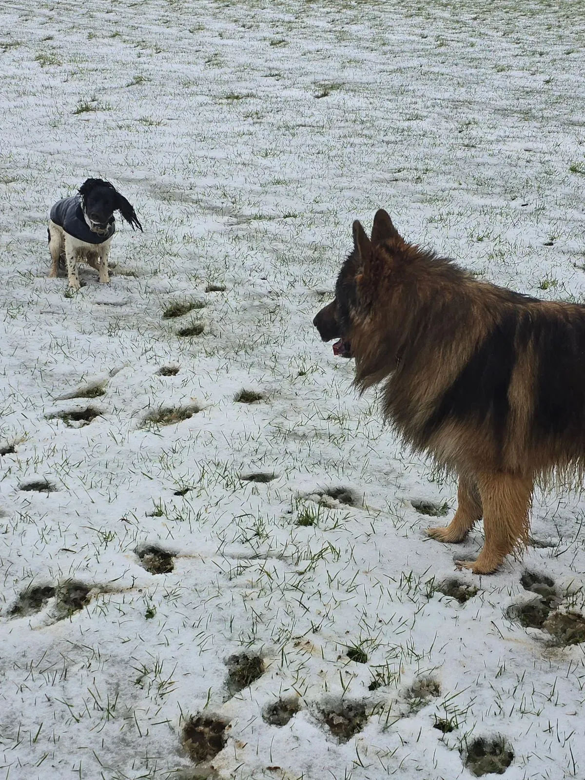 Descriptive text for the image