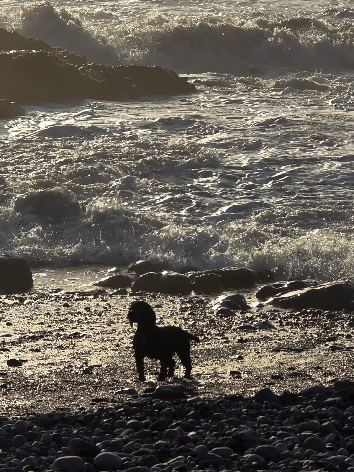 Descriptive text for the image