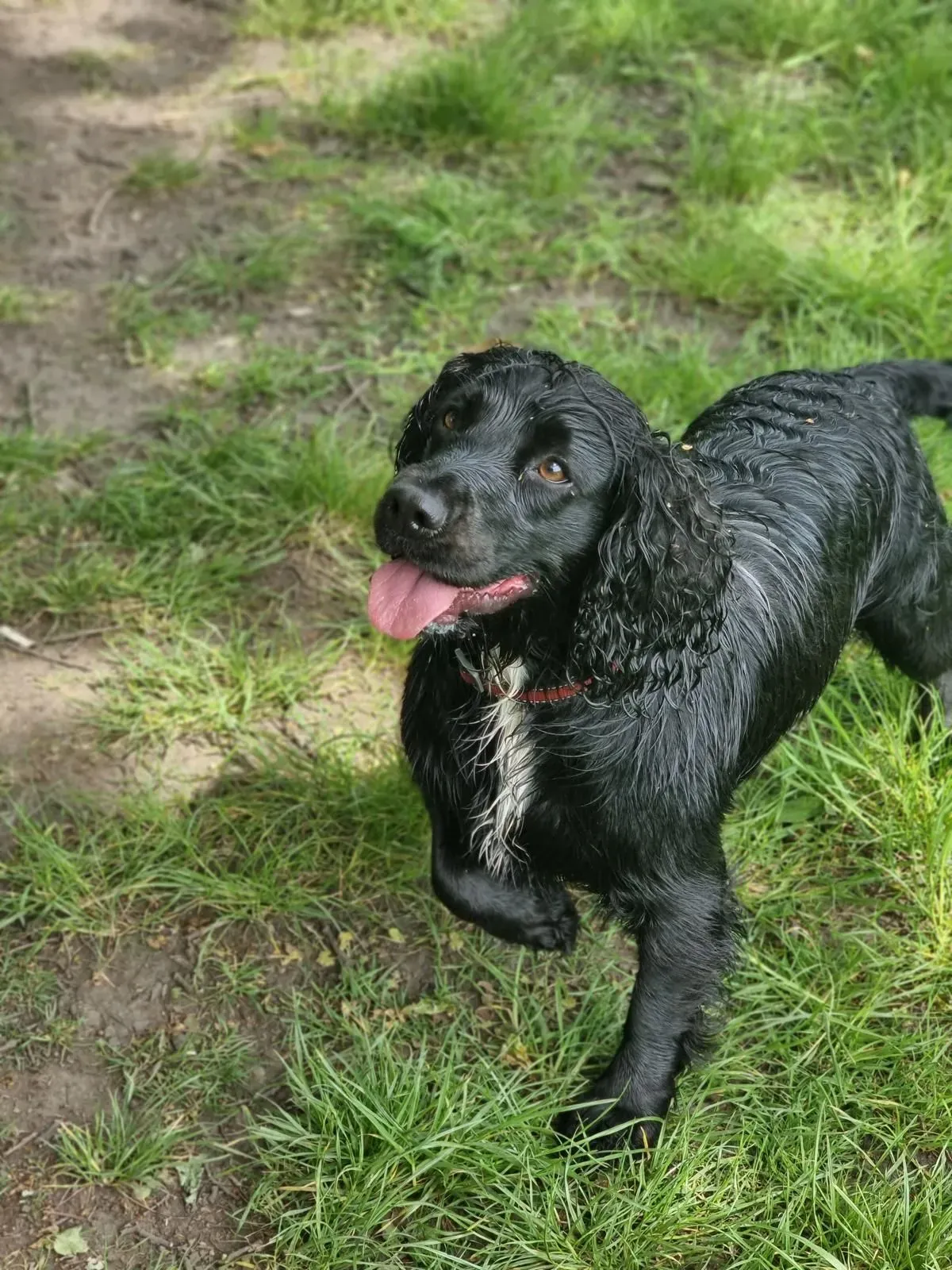 Descriptive text for the image