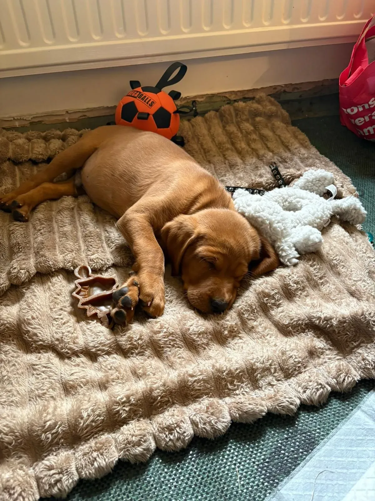 Descriptive text for the image