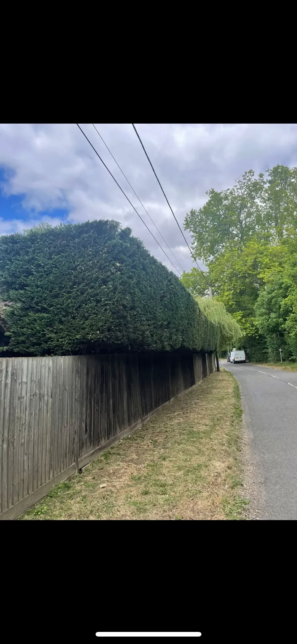Hedge trimming image background image