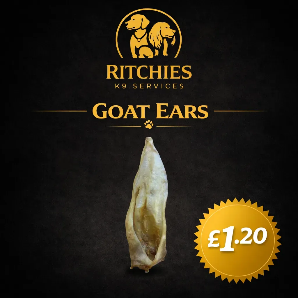 8224355716034-iral1xh1zj41cljgm4hnr-goat thumbnail image