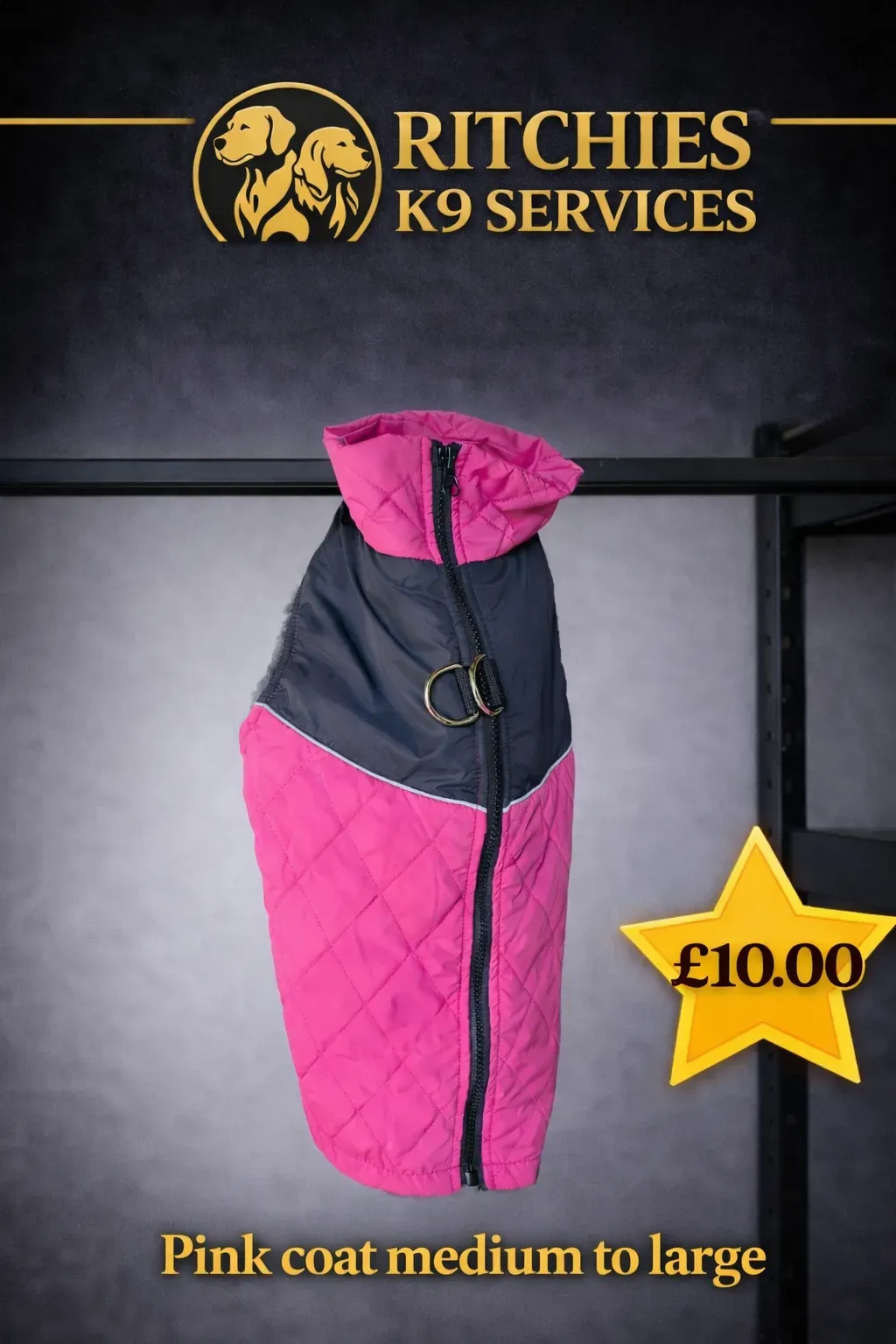 8228825798263-b06tlkvl9mcv61wne30n7-pink-coat thumbnail image