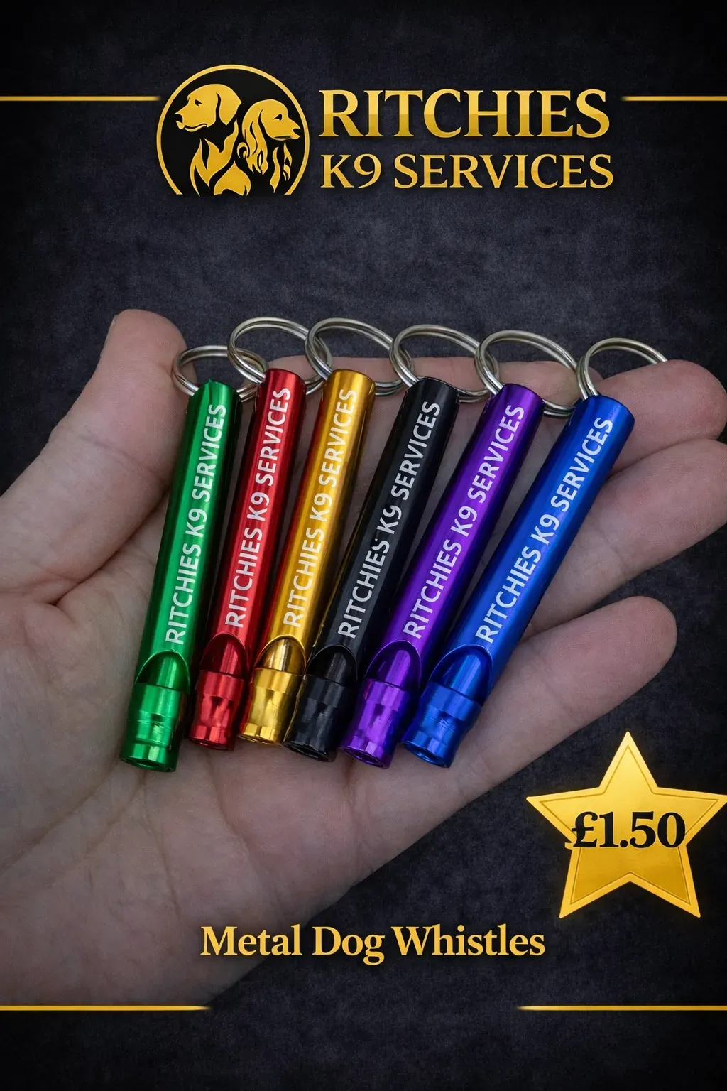 8228826270058-b8lib7izrvxqyc4285o3-metal-whistle thumbnail image