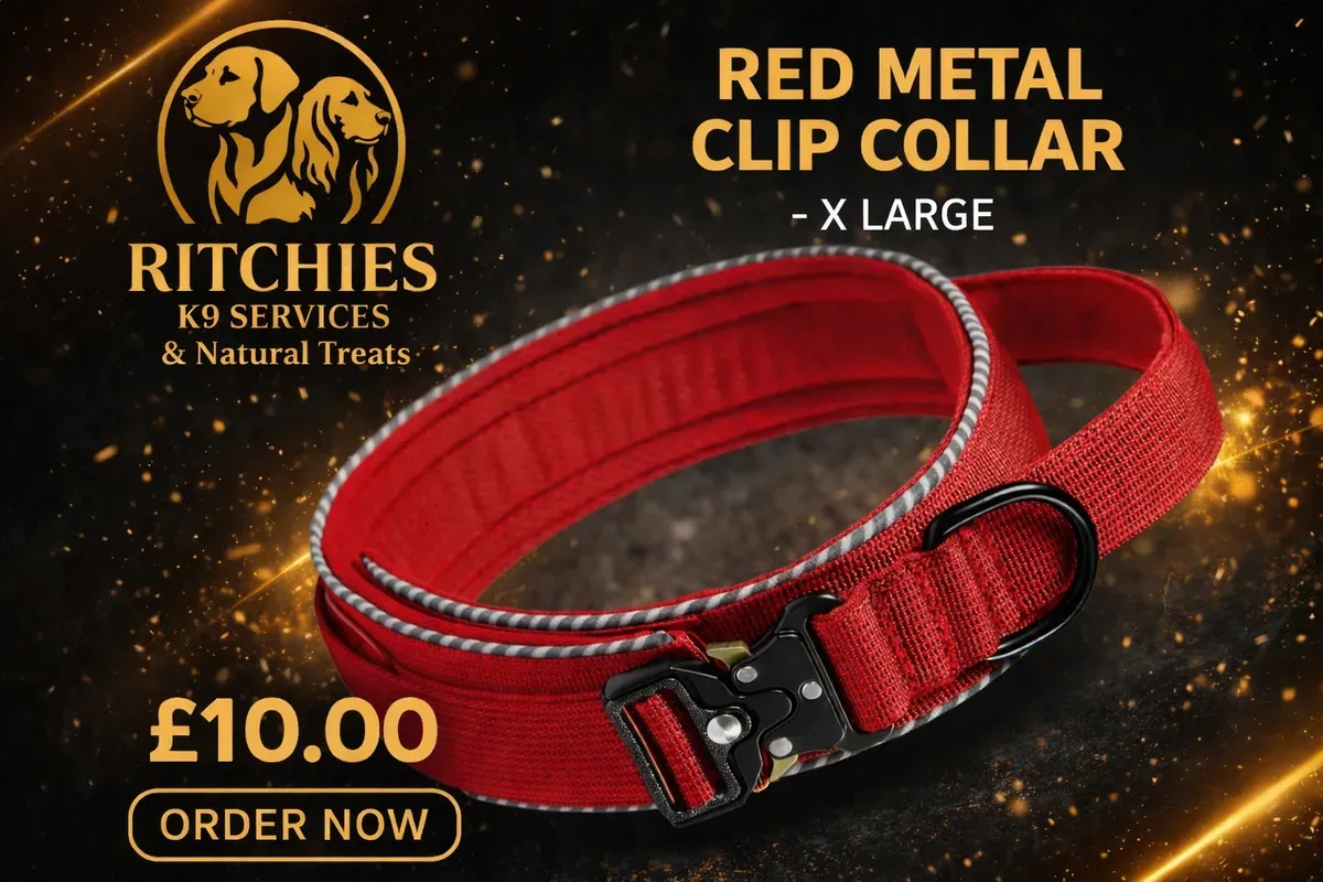 8228827832146-0oi8sic4jqgu3gswkfoy0f-red-collar-XL thumbnail image