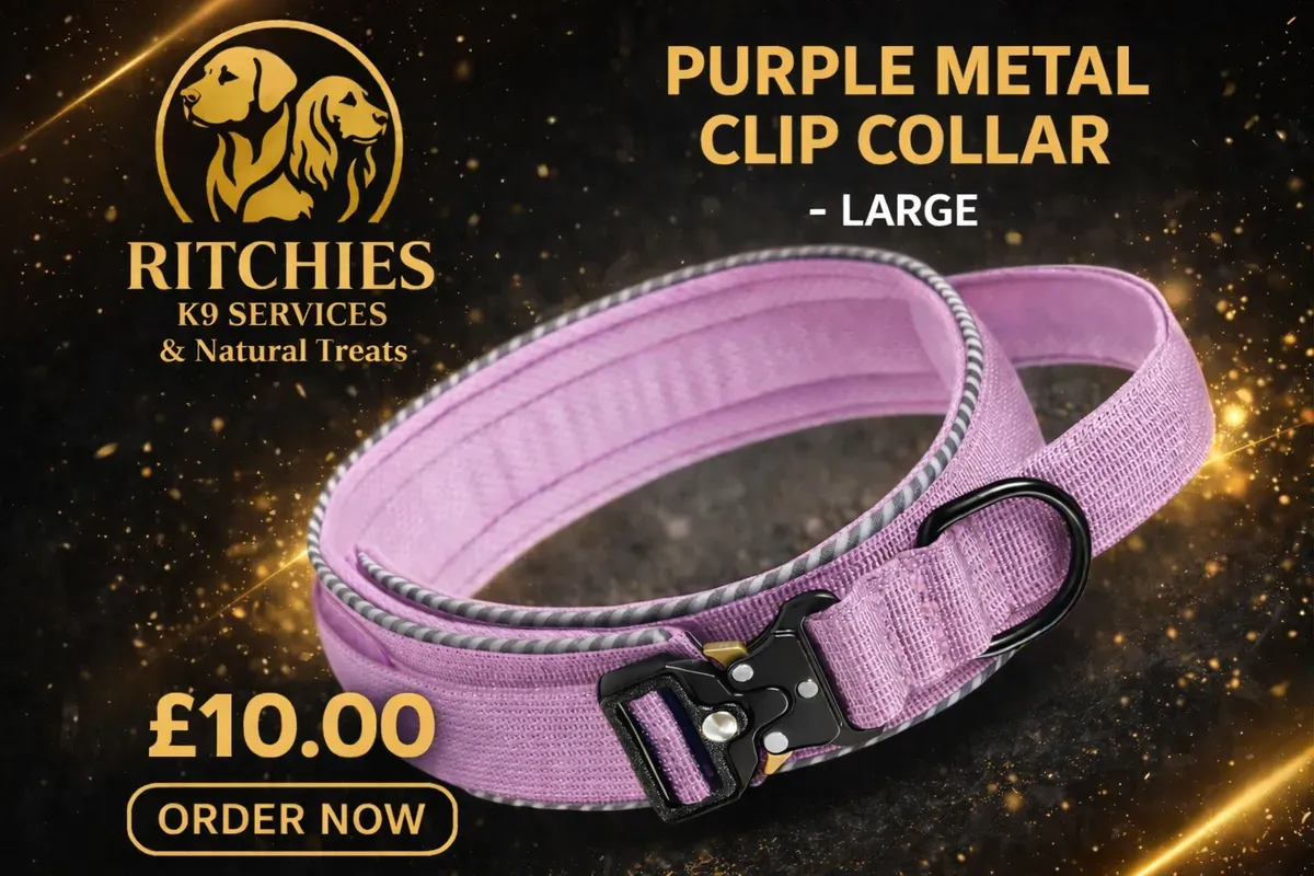 8228828473566-0iwiczbvp1wuiiyoi0ae5p-purple-large thumbnail image
