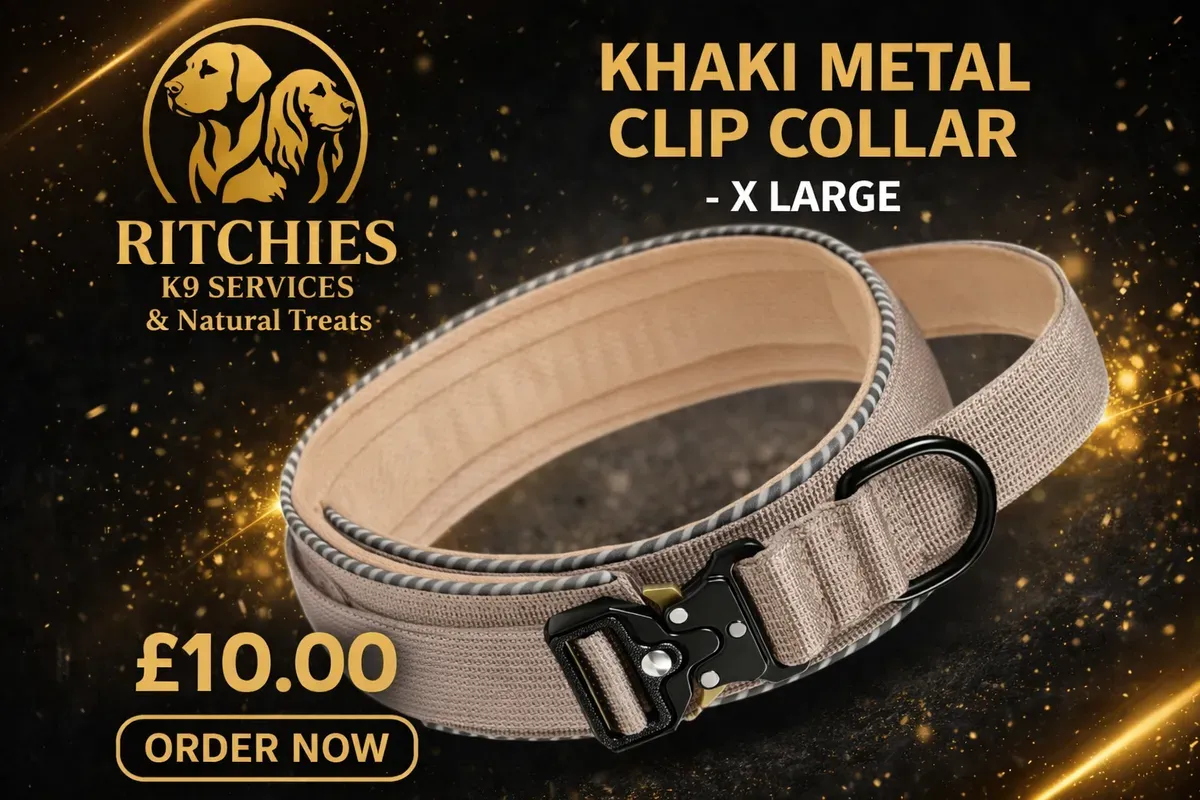8228829803853-yj6hqh3d9we05khhq7yx6c3-khaki-collar-xl thumbnail image