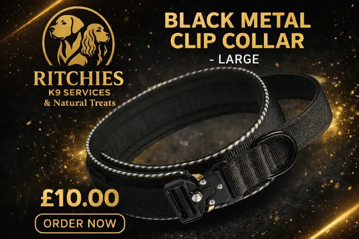 8228829910639-dqfiygkgh17kendsqfmrer-black-collar---large thumbnail image