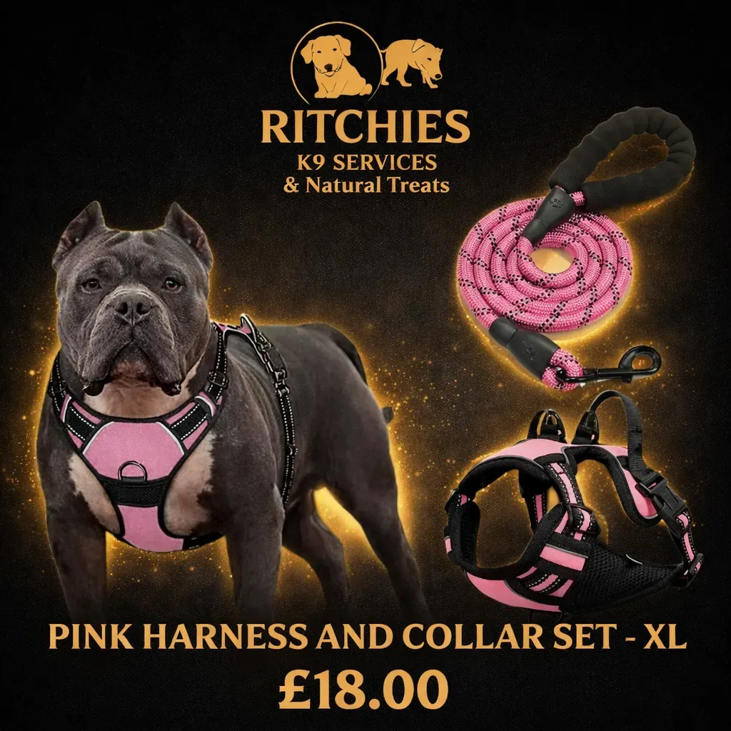8228831994241-ag90zwhdahbsb2fh5p1ik-pink-xl thumbnail image
