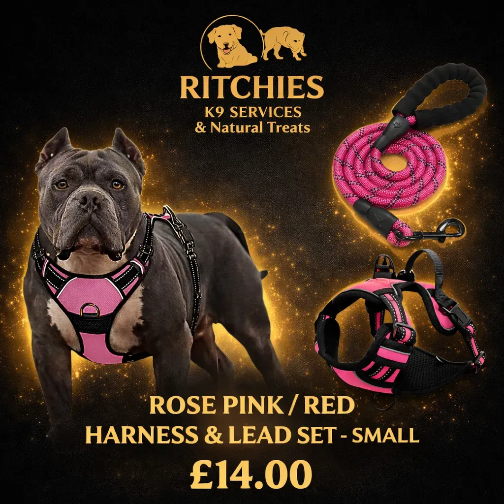 8228832078029-k6dyyfhzbwl8633bjdqdva-rose-pink-small thumbnail image